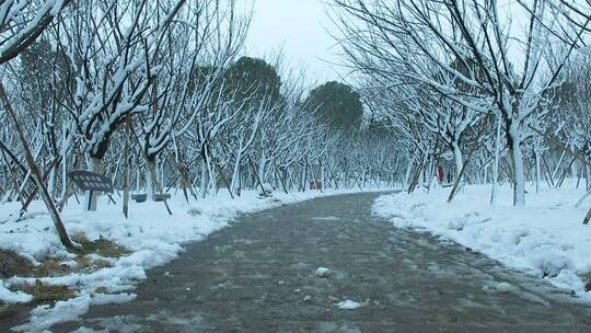 雪景步道