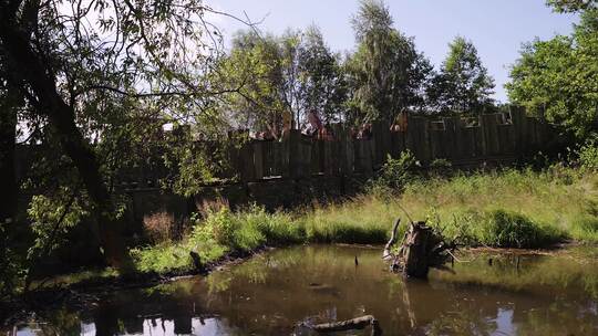 部落，战争，维京人，长矛