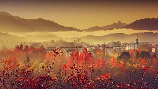 西递古村/宏村/卢村/安徽塔川秋色