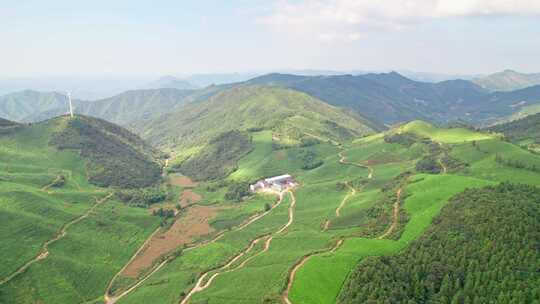 浙江金华东白山婺越高山茶园自然风光航拍