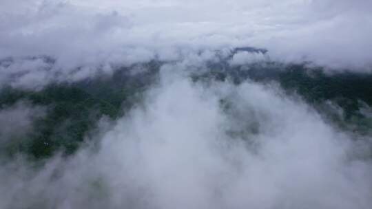 航拍雨后群山云雾缭绕山峦叠嶂山脉山川