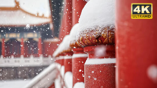 唯美雪景立冬冬至大寒小寒节气视频素材2