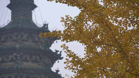 河北正定临济寺澄灵塔