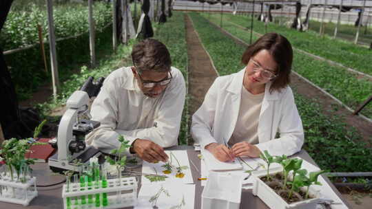 高级植物学家和女助理在温室进行研究