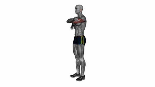 3D肱三头肌轻拉伸科学健身运动锻炼演示