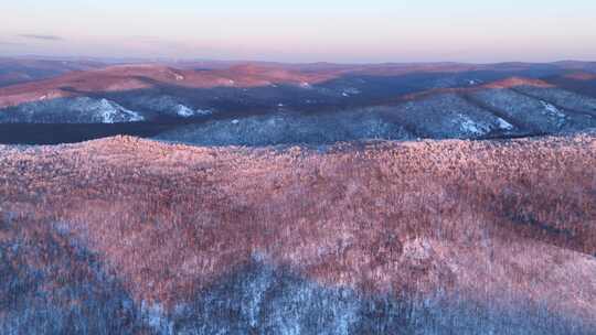 夕阳照耀的大兴安岭林海雪原