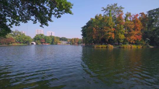 广州荔湾湖公园树林秋色与湖泊风光
