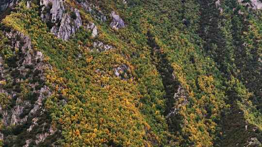 崇山峻岭山脉高山秋天秋景树木金黄