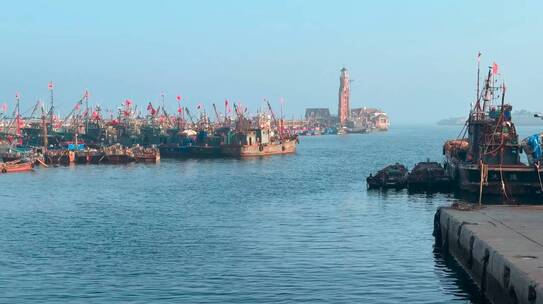 大连渔人码头海鸥成群，渔船出海，防波堤