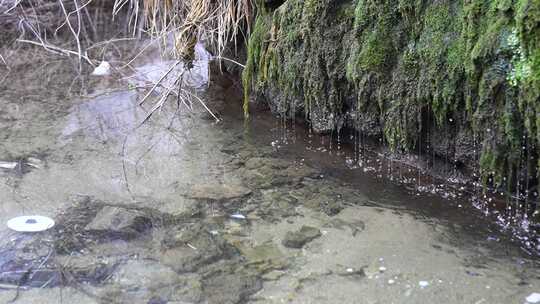 长满青苔岩石上的流水