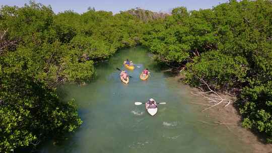 皮划艇，Tavernier Key，红树