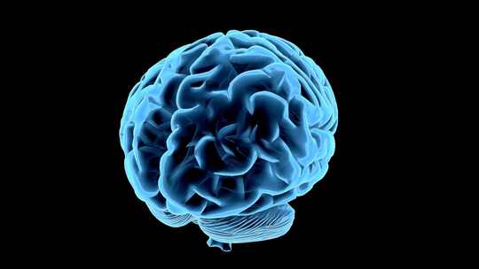 三维动画人脑大脑视频素材模板下载