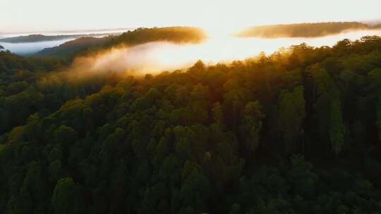 阳光照耀下的山林美景