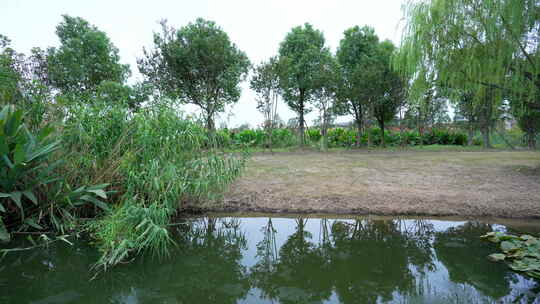 武汉光谷三路湿地公园风景