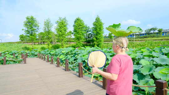 老奶奶夏天池塘边散步