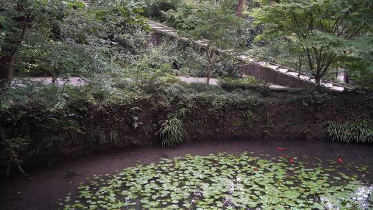 杭州西湖景区虎跑公园虎跑史话馆