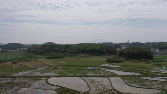 山区田野