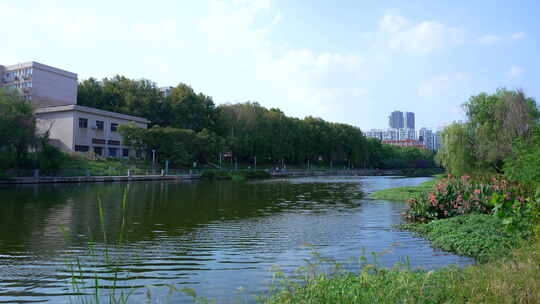 武汉洪山区巡司河风情公园风景