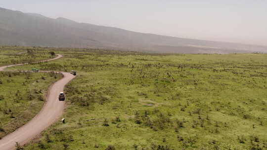 Safari旅游汽车停在路边，靠近Ngorngoro山脊山上的许多长颈鹿