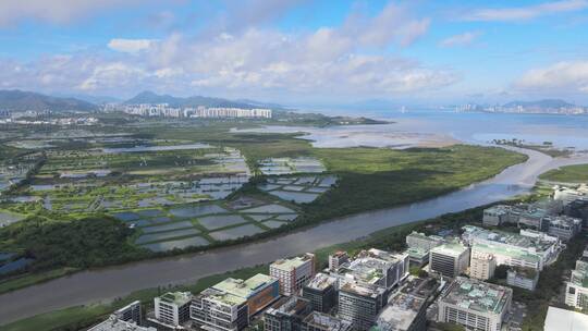 深圳河 水系 香港 交界处 水塘视频素材模板下载