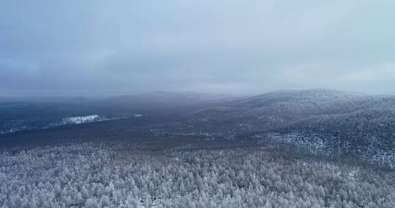 航拍银装素裹的大兴安岭林海雪原