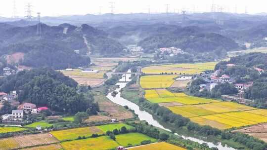 4k长沙隆平稻作公园秋收稻田航拍