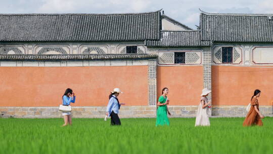 一群人从喜洲网红墙前的绿色稻田中走过