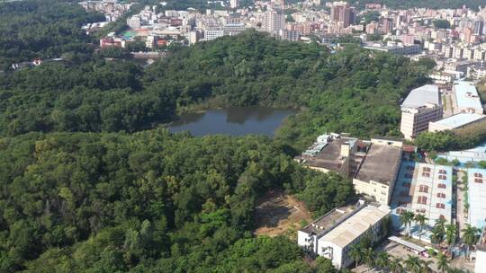 航拍深圳龙华区观澜城市生态绿化