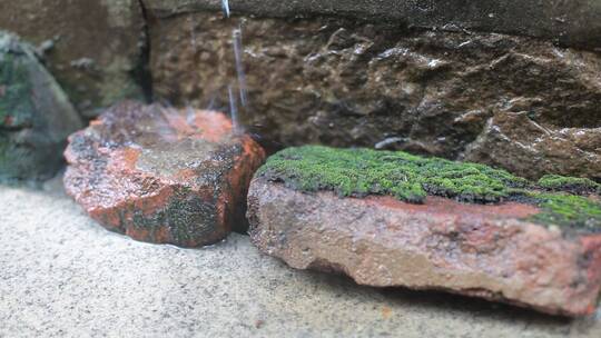 淅淅沥沥的乡村春雨