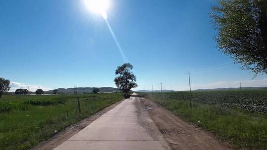 【合集】城市道路开车第一视角 记录仪视角