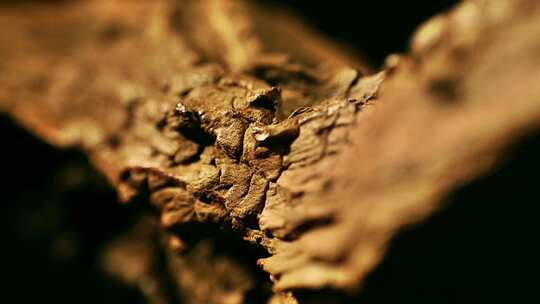 木头纹理枯木树根根雕