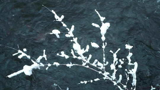 冬日 河流 温泉 开春 大寒 节气