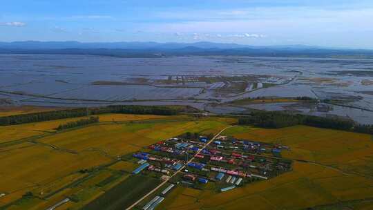 航拍松花江湿地和大地稻田