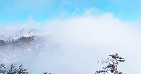 四川西岭雪山美丽风景冬天白雪皑皑云雾缭绕