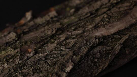 树皮龟裂 木头纹理裂纹