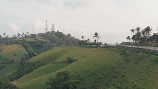 绿色的热带山丘和被棕榈树包围的道路。Ca