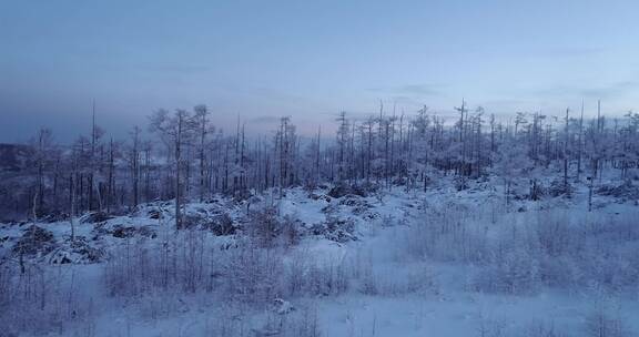 冰雪森林、高山雾凇