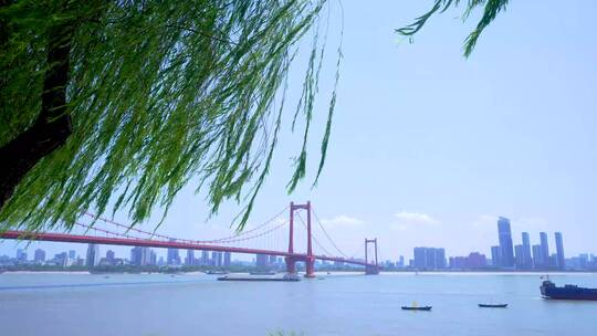 武汉汉阳江滩鹦鹉洲长江大桥4K视频合集