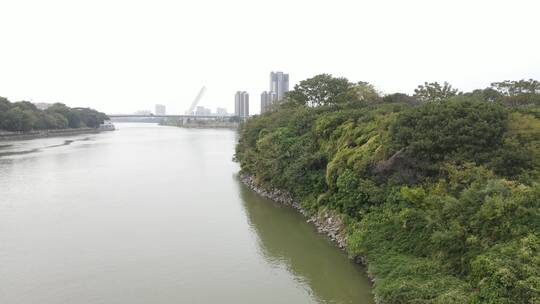 广东东江生态保护区视频素材模板下载