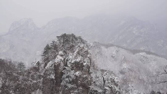 漫天飞雪大雪封山