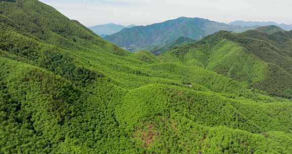 杭州余杭黄湖王位山春天航拍