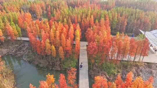 南昌高新区鱼尾洲湿地公园航拍