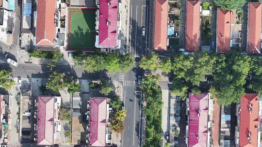 航拍俯瞰威海市环翠区少年路古陌路红瓦绿树视频素材模板下载