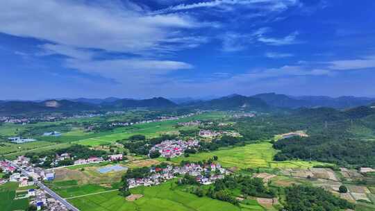 美丽乡村春回大地田园风光