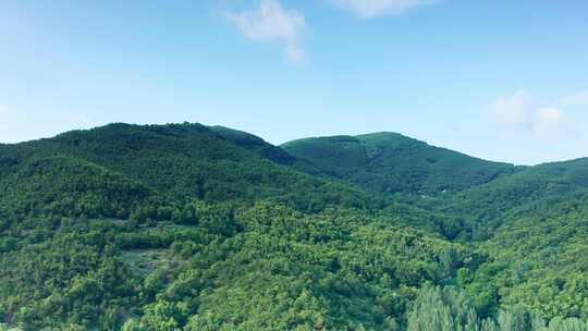 乡村振兴 绿水青山 大好河山 田园风光