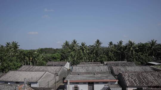 热带村落延时南方村庄民居椰树蓝天01视频素材模板下载