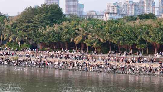 深圳湾公园观鸟人群