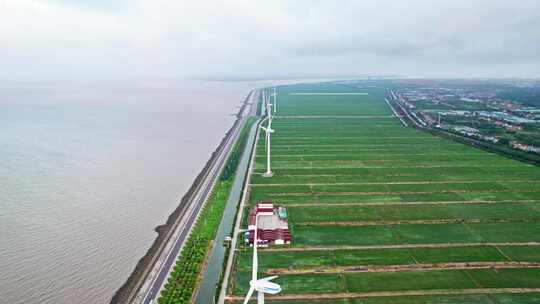 中国上海长兴岛海边稻田风车