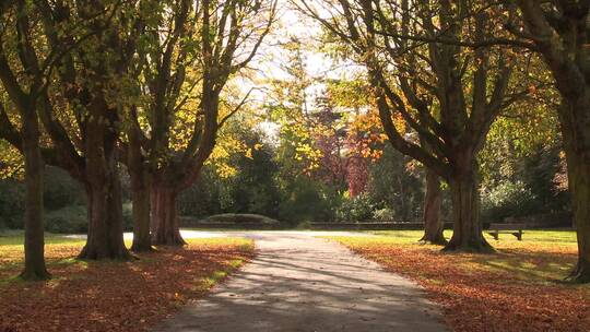 秋天公园里的美景视频素材模板下载