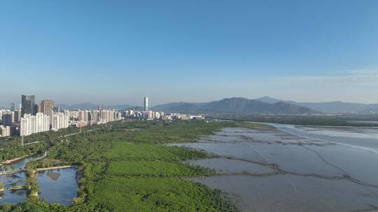 深圳福田红树林自然保护区航拍视频素材模板下载